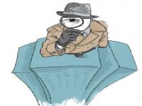 普兰县取证公司解说第三者承担离婚赔偿责任吗
